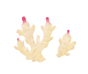 温泉